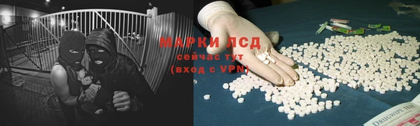 ГАЛЛЮЦИНОГЕННЫЕ ГРИБЫ Баксан