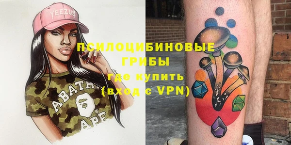 ГАЛЛЮЦИНОГЕННЫЕ ГРИБЫ Баксан